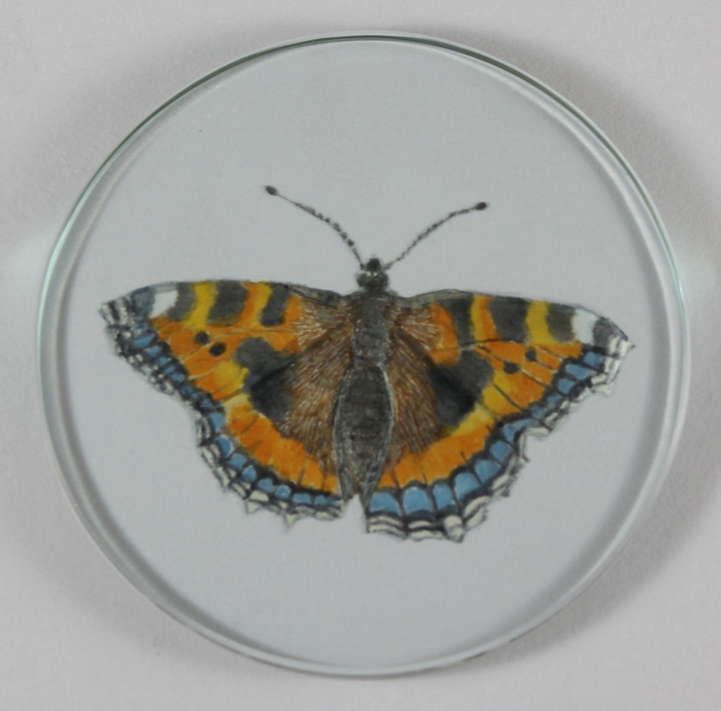 Tortoiseshell Butterfly engaved on glass and painted with fired enamels