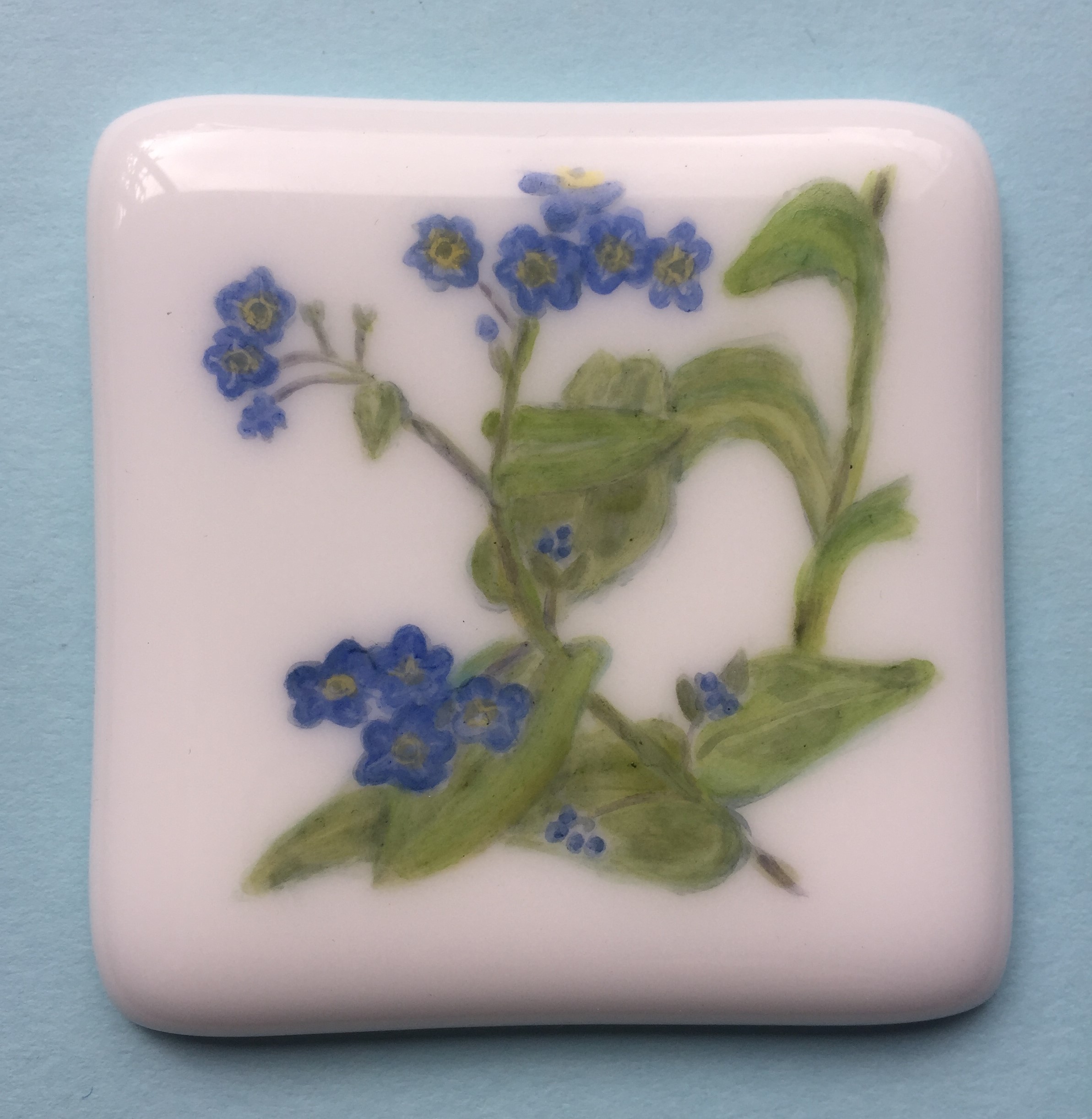 Flower study: Forget-me-nots painted in glass enamels and fired onto plain white glass